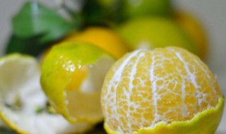 皇帝柑的皮有什么用 皇帝柑的皮有何作用