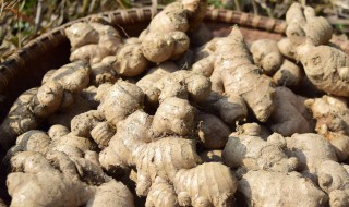 黑姜的功效与作用 黑姜有什么功效