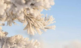 小寒食舟中作翻译 小寒食舟中作原文及翻译