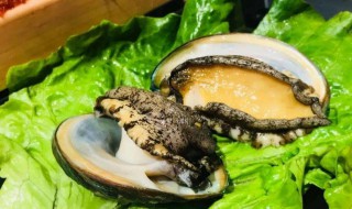 鲍鱼涮火锅需要去壳吗 鲍鱼涮火锅要不要去壳