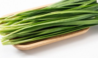 割韭菜的正确方法 如何正确割韭菜