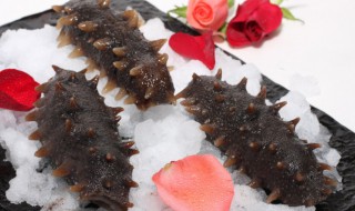 海参对身体有哪些好处 海参的好处介绍