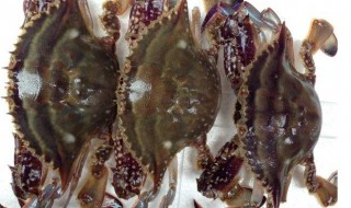 腌制整个螃蟹的方法 腌制螃蟹的方法介绍