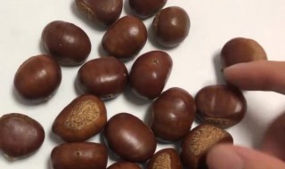 去板栗壳技巧 如何去板栗壳