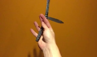 蝴蝶梳花式技巧 蝴蝶梳花式技巧的做法如下