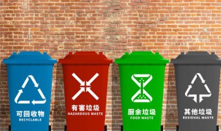 正确的垃圾分类方法 如何正确的进行垃圾分类