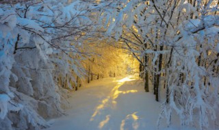 关于描写雪天的优美句子 描写雪天的简短句子