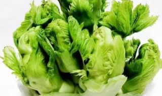 芥菜的管理方法 芥菜如何管理