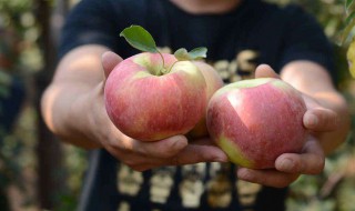 赤峰的特产有哪些 赤峰有什么特产