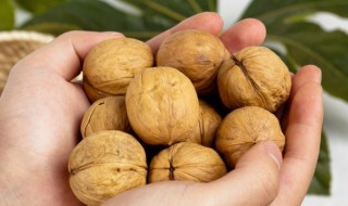 核桃怎么保存最好 核桃保存方法