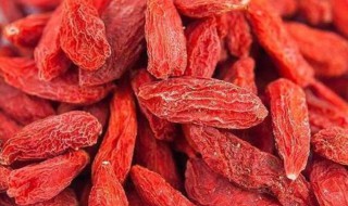 枸杞打开后怎么保存 枸杞如何保存