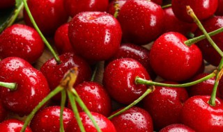 樱桃常温怎么保存 樱桃还有哪些储存方法？