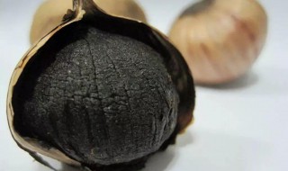 黑蒜怎么保存 如何保存黑蒜