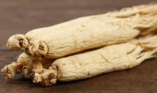 白参怎么保存 白参的保存方法