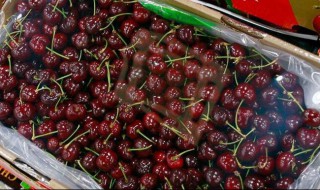 车厘子放冰箱能放多久 车厘子的保存时间是多长