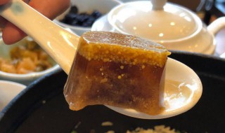 鲫鱼冻的熬制方法窍门 怎么做鲫鱼冻好吃呢