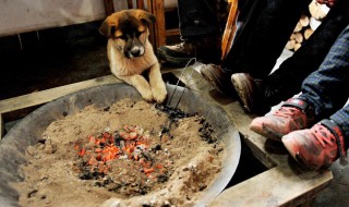 大学生取暖的方法 大学生如何取暖
