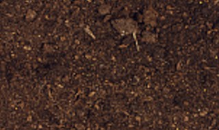 土壤改善的方法 如何改善土壤肥力