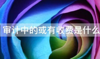 审计中的或有收费是什么意思 或有收费类型和影响性