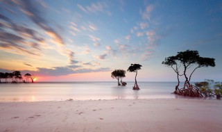 动态摄影的方法 有什么动态摄影的技巧