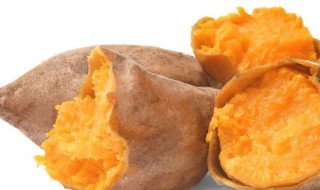 番薯要煮多久 番薯介绍