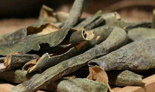 干冬瓜皮的功效与作用 冬瓜皮的作用与功效有哪些