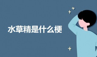 水草精是什么梗 关于水草精的意思介绍