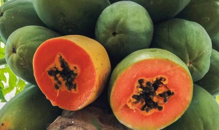 木瓜丝的功效与作用禁忌 木瓜丝的好处