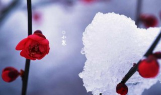 小寒节气属于哪个季节 小寒是什么季节