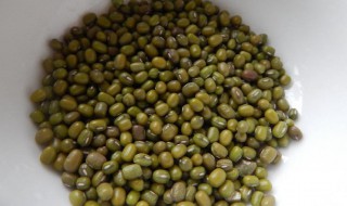 绿豆怎么保存 绿豆的如何储存