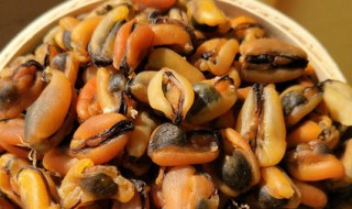 淡菜怎么保存 怎么保存淡菜