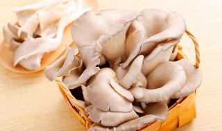 养胃蘑菇汤怎么做 养胃蘑菇汤的做法