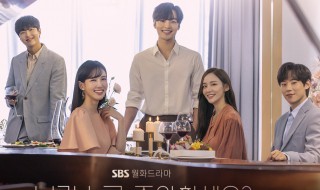 你喜欢勃拉姆斯吗演员表 你喜欢勃拉姆斯吗简介