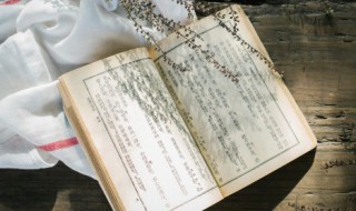 吾匮卿汝愿乎什么意思 吾匮卿汝愿乎的意思