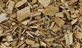 木糠是什么做的 木糠是什么