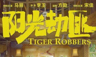 阳光劫匪剧情介绍 阳光劫匪剧情是什么