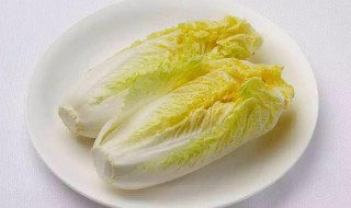 娃娃菜的种植技巧 娃娃菜如何种植