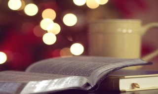 好听温柔的女孩名字精选大全 好听温柔有诗意的女孩名字