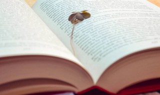 最新简单好听的女孩名字大全 最好听女孩名字大全