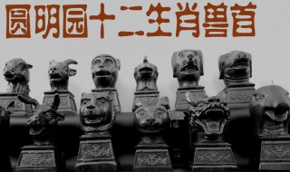 圆明园十二生肖铜兽首找回几个 圆明园十二生肖铜兽包括哪些