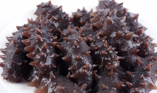 海参怎么存放 海参保存方法介绍