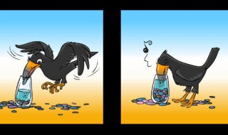 乌鸦喝水还有什么办法可以喝到水 乌鸦喝水还有哪些办法可以喝到水