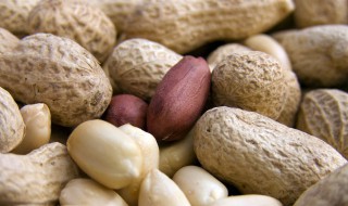 花生的品质是什么 花生简单介绍