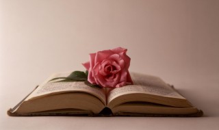 意简言骇的意思 意简言骇什么意思