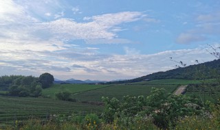 溪上遇雨的意思 溪上遇雨解释