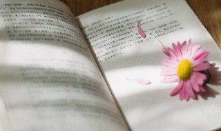 形势紧张和长须飘飘的意思 形势紧张和长须飘飘是什么意思