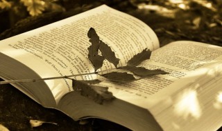 什么是同一律? 同一律解释