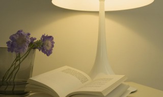 群响毕绝群响的意思 群响毕绝是什么意思