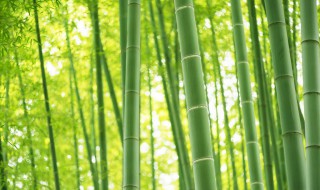 敲竹杠一般指什么意思 敲竹杠一词的来历