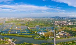 什么是围湖造田? 围湖造田是什么